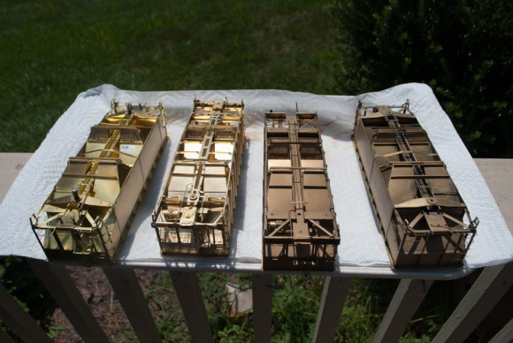 Four hoppers drying after their bath.